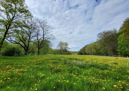 działka na sprzedaż - Bolków