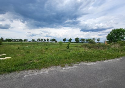działka na sprzedaż - Bolesławiec (gw), Brzeźnik