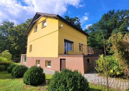 obiekt na sprzedaż - Wądroże Wielkie, Budziszów Wielki