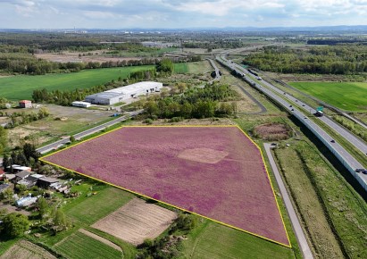 działka na sprzedaż - Miłkowice, Kochlice