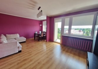 mieszkanie na wynajem - Legnica