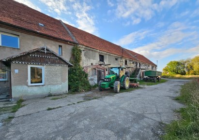 dom na sprzedaż - Wądroże Wielkie, Bielany