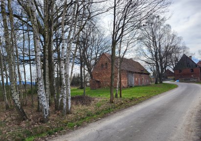 dom na sprzedaż - Leśna (gw), Kościelniki Górne, Janówka