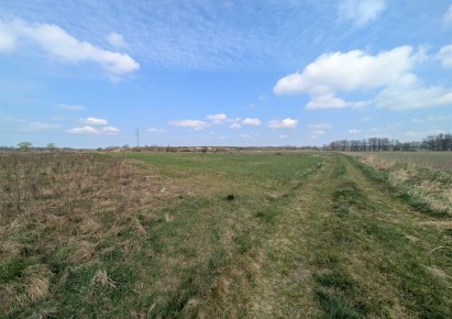 działka na sprzedaż - Miłkowice, Grzymalin