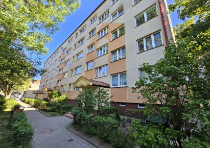mieszkanie na sprzedaż - Legnica
