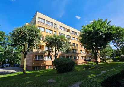 mieszkanie na sprzedaż - Legnica