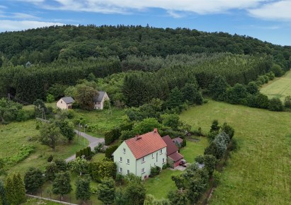 dom na sprzedaż - Pielgrzymka, Czaple